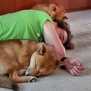 Meet your Posher, David-benji